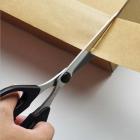 Scissors Non-Stick